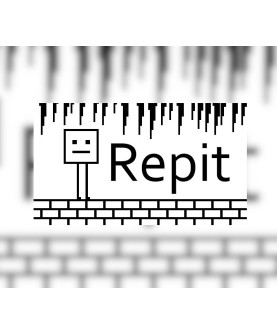Repit Steam Key GLOBAL